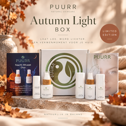 Autumn Light Box
